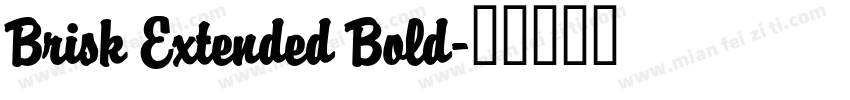 Brisk Extended Bold字体转换